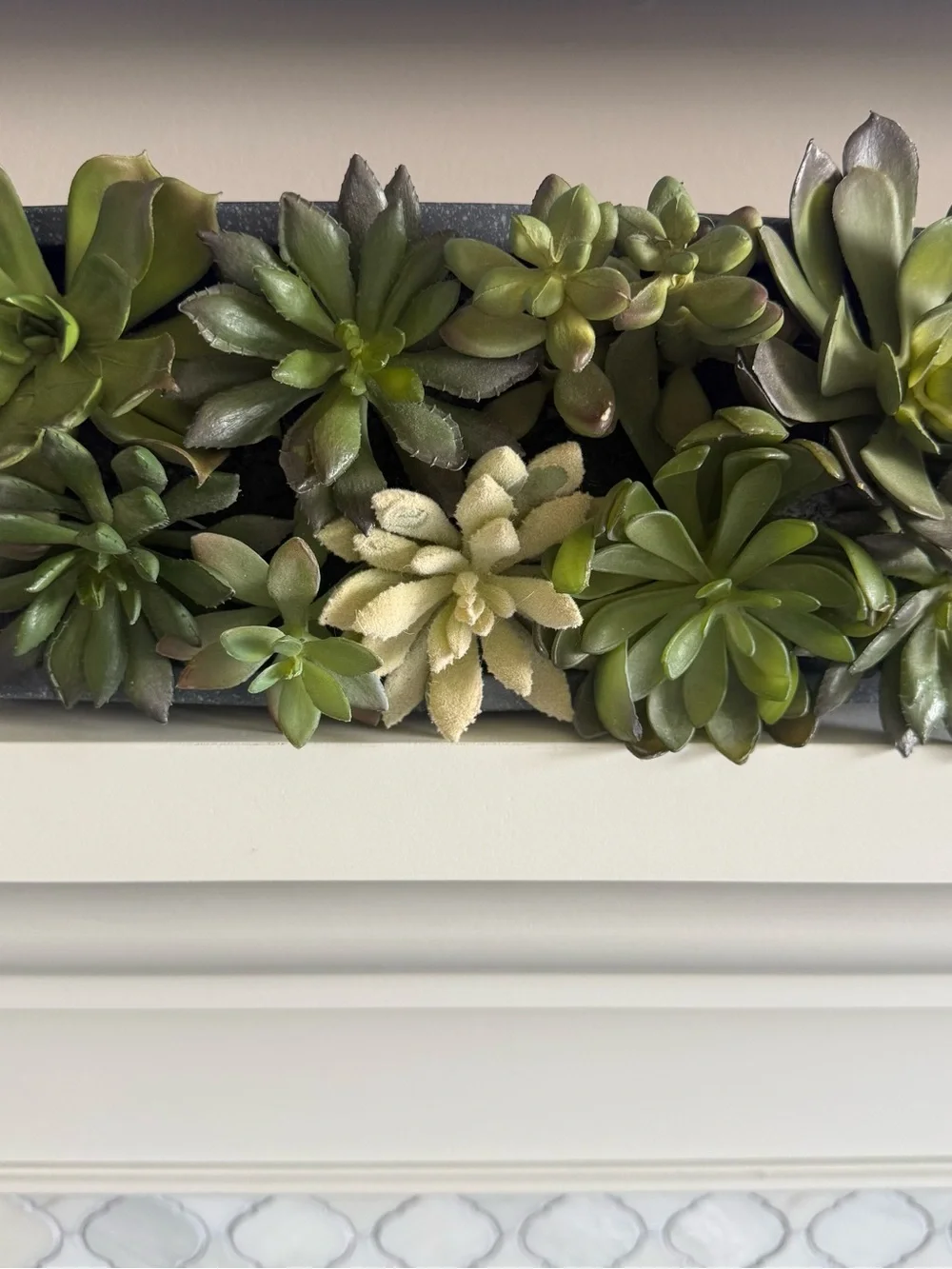 Crate and Barrel Potted Faux Succulent Arrangement in Matte Black Planter Box